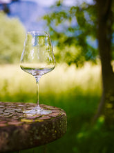 Load image into Gallery viewer, Red Wine Glass