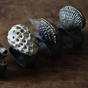 Oceanology Trinket Tableware Mercenaria Napkin Ring