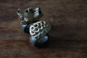 Oceanology Trinket Tableware Napkin Ring Set of 4