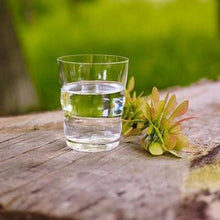 Load image into Gallery viewer, Jasmina Drinking Glass (Gold)