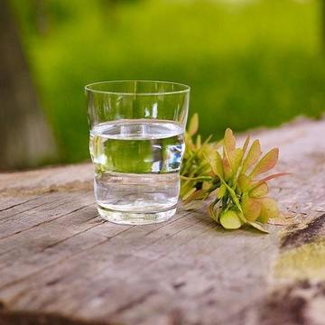Jasmina Drinking Glass (Gold)